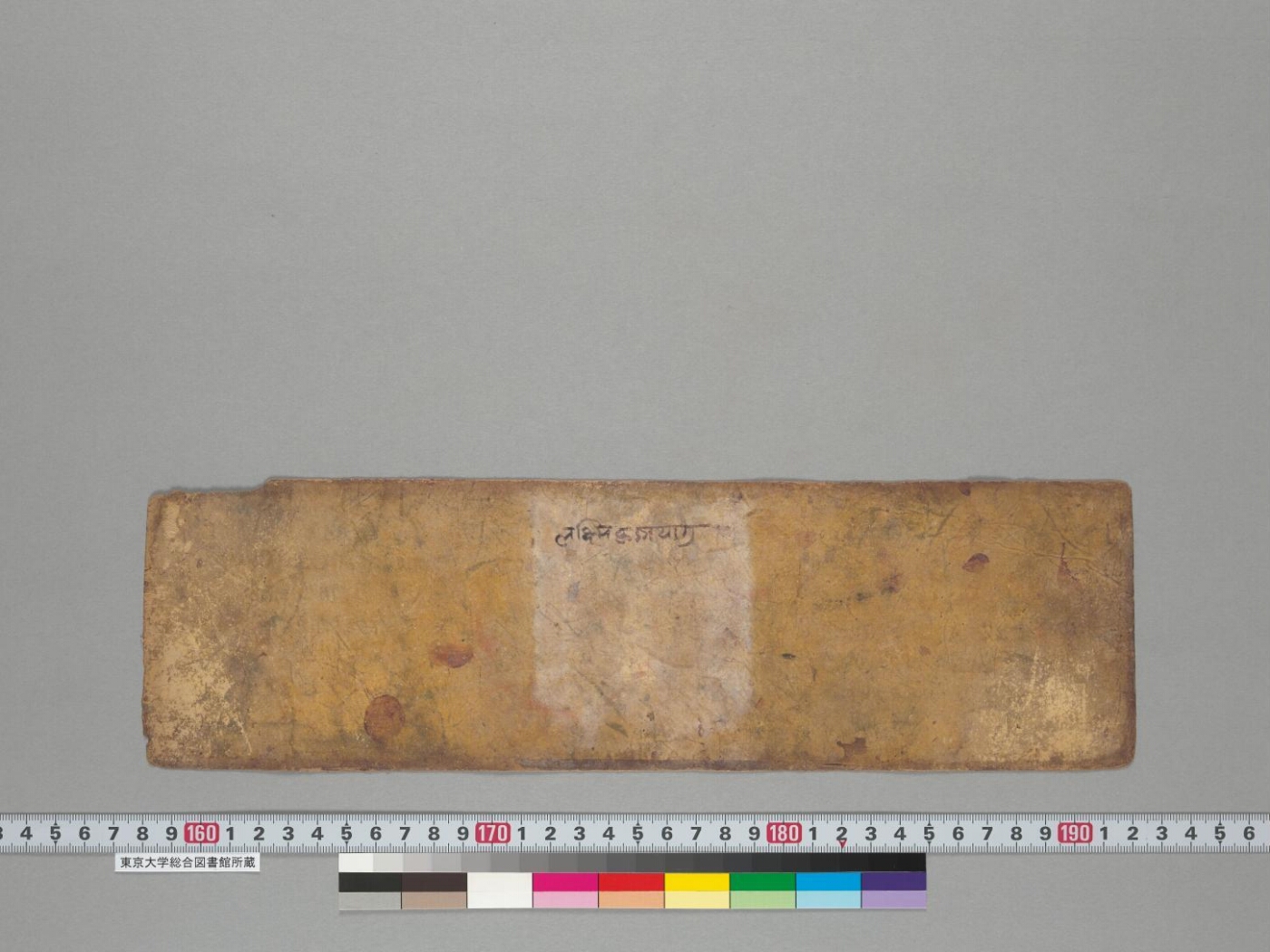 Pañcarakṣā manuscript preview