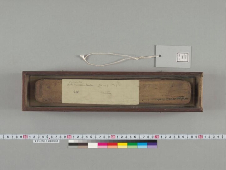 Pañcarakṣā manuscript preview