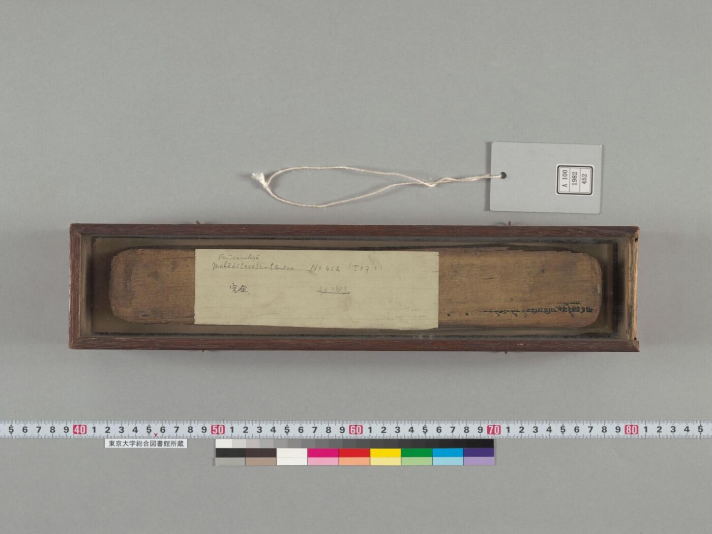 Pañcarakṣā manuscript preview