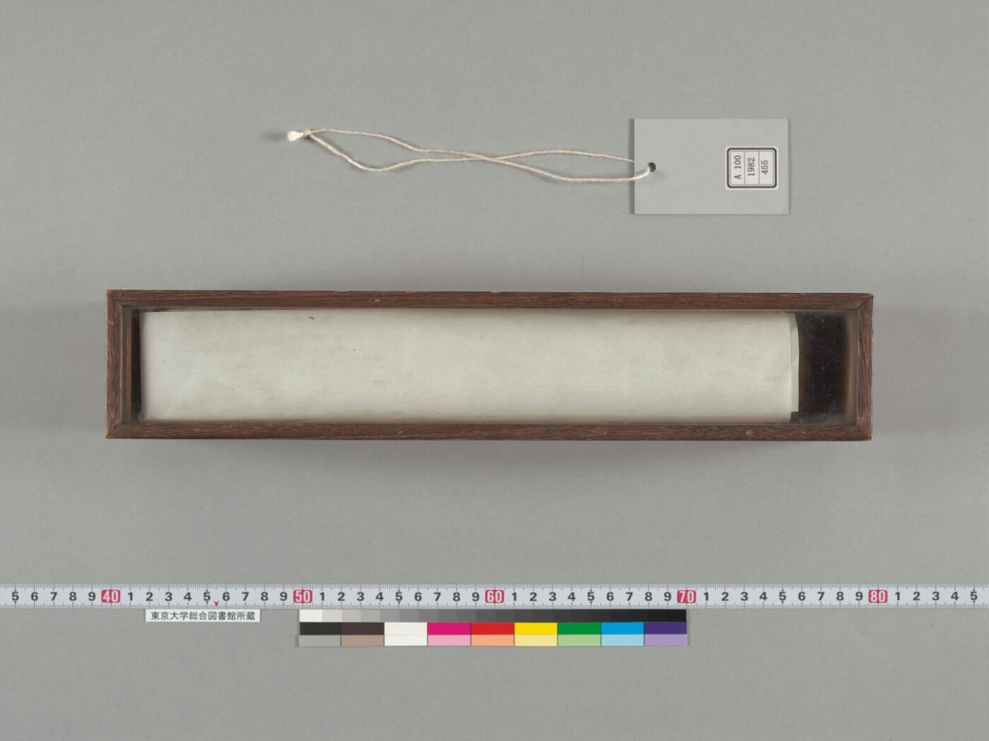Pañcarakṣā manuscript preview
