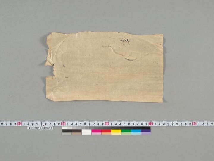 Pañcarakṣā manuscript preview