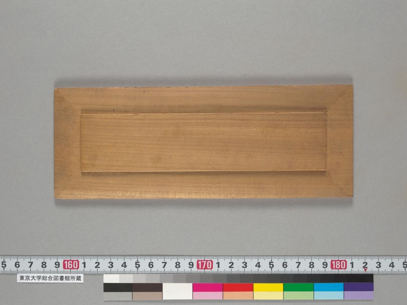 Pañcarakṣā manuscript preview