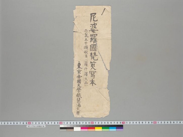Pañcaviṃśatisāhasrikā Prajñāpāramitā manuscript preview
