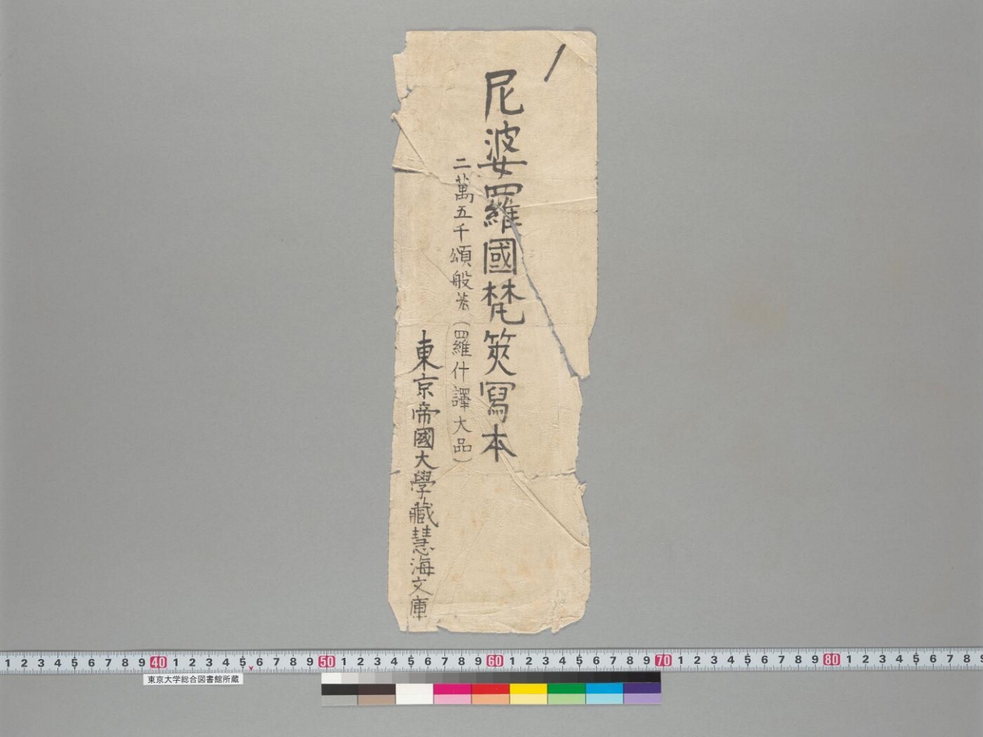 Pañcaviṃśatisāhasrikā Prajñāpāramitā manuscript preview