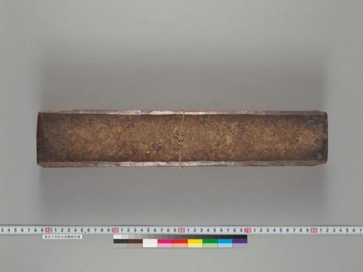 Padmapurāṇa manuscript preview