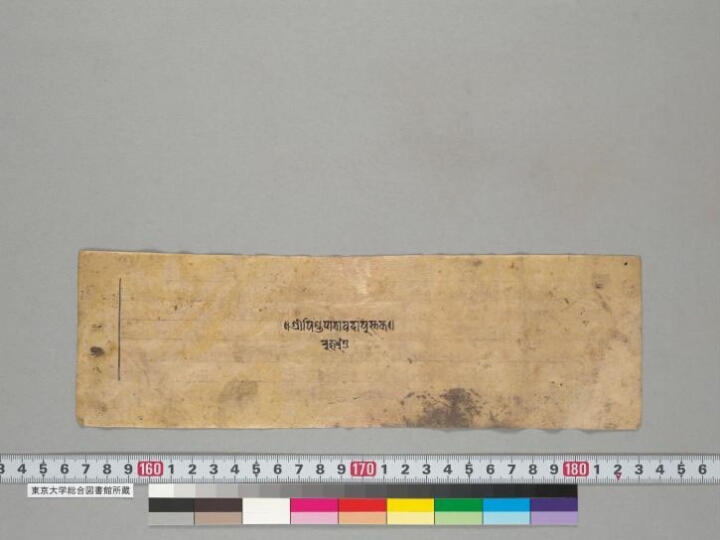 Piṇḍapātrāvadāna manuscript preview