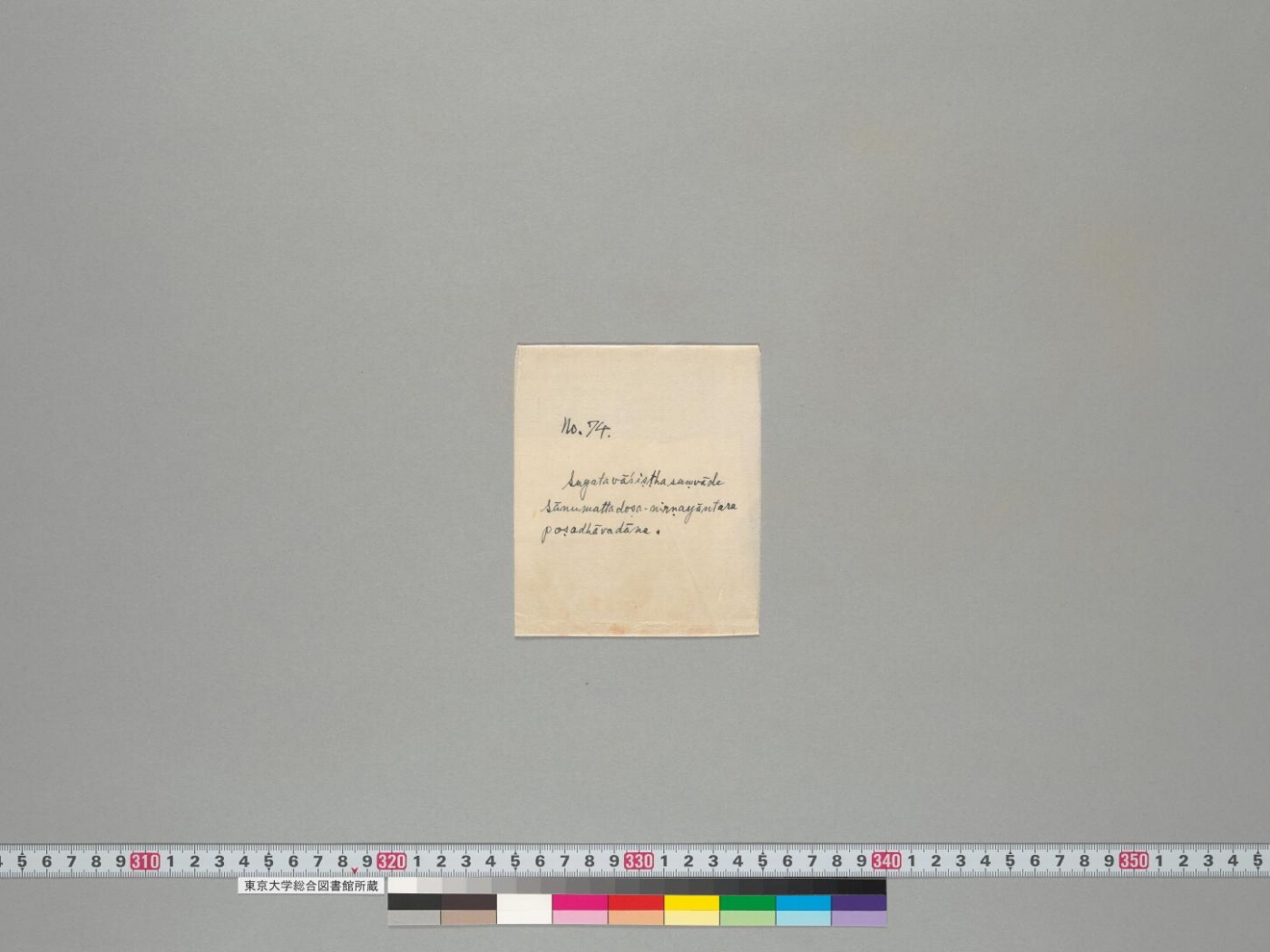 Poṣadhāvadāna manuscript preview