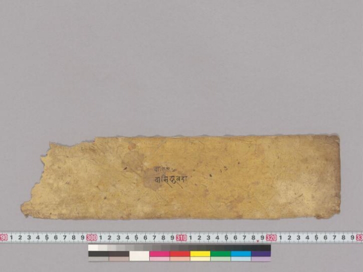 Poṣadhāvadāna manuscript preview