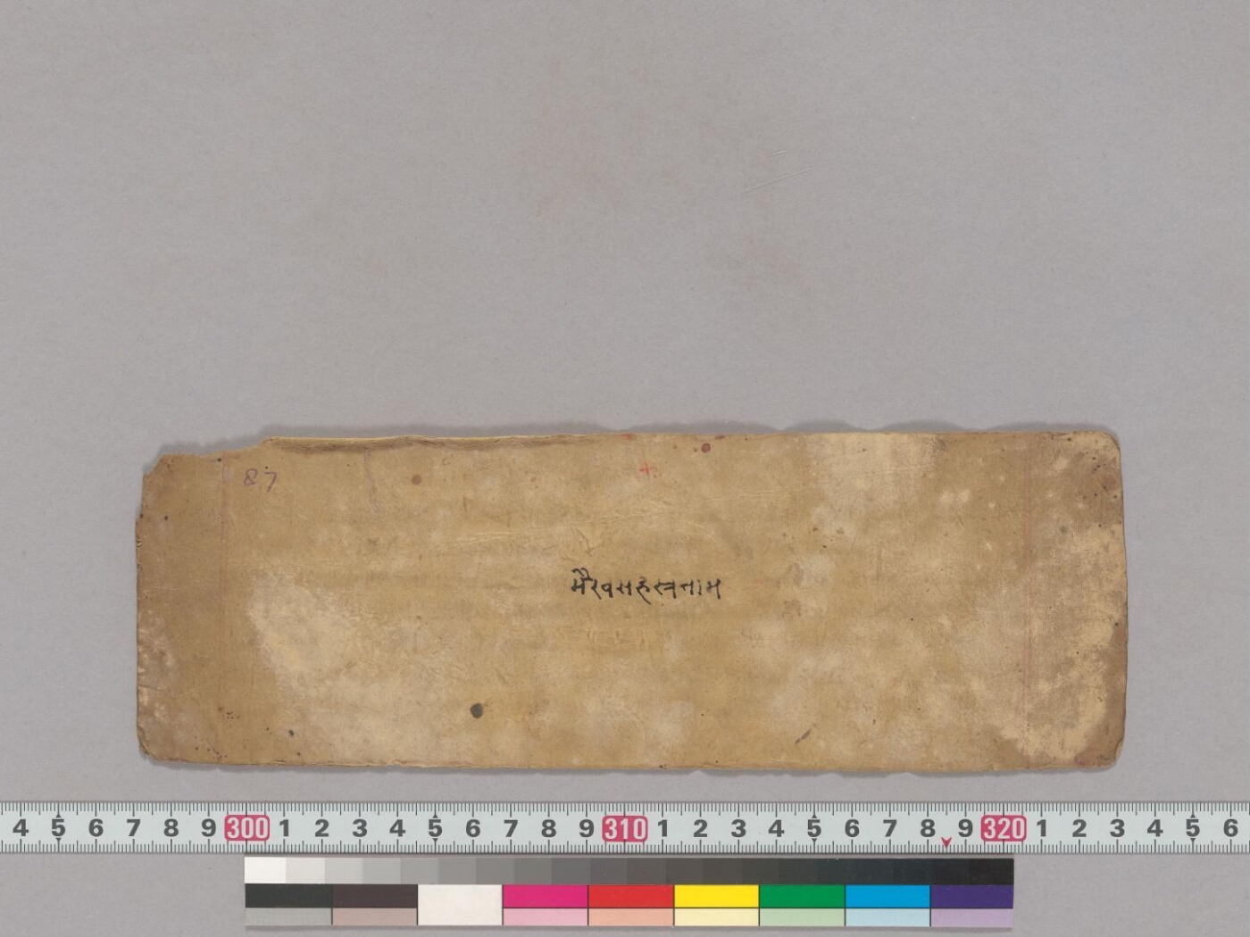 Baṭukabhairavasya sahasranāma stotra manuscript preview