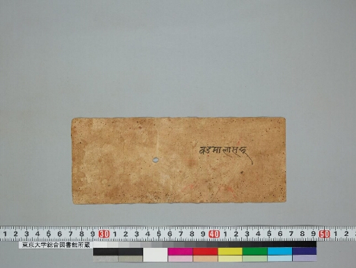 Balyarcanavidhi manuscript preview