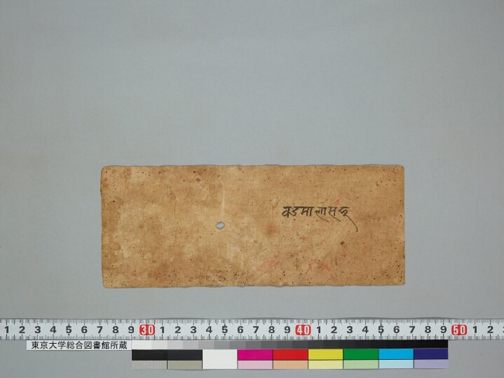 Balyarcanavidhi manuscript preview