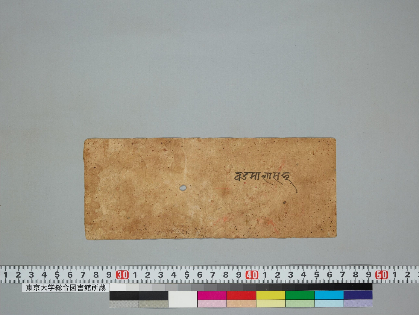 Balyarcanavidhi manuscript preview