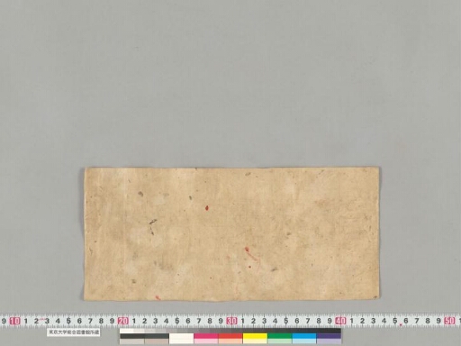 Bodhicaryāvatāra manuscript preview