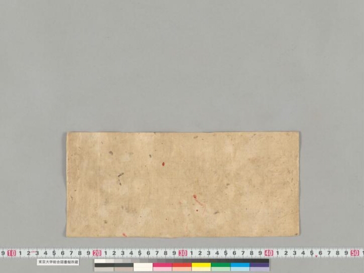 Bodhicaryāvatāra manuscript preview