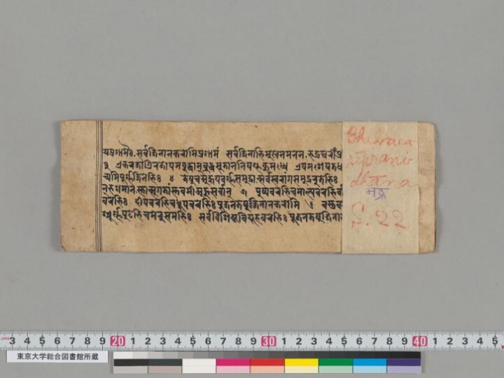 Bhadracarīpraṇidhāna manuscript preview