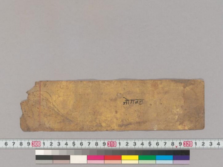 Bhavānīsahasranāmastava manuscript preview