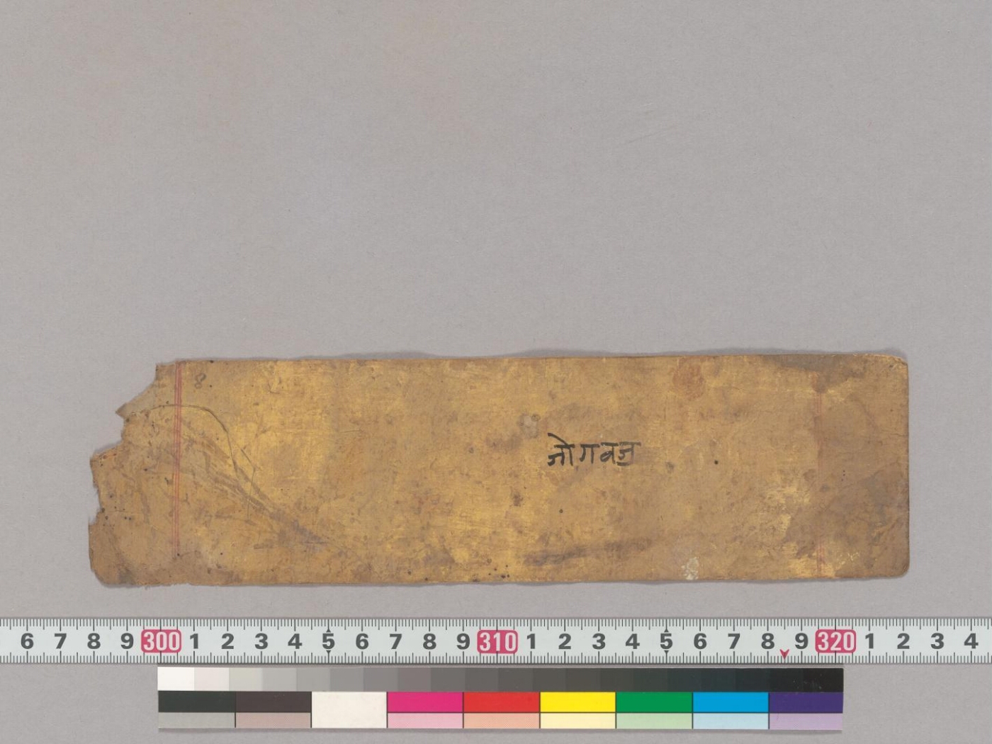 Bhavānīsahasranāmastava manuscript preview