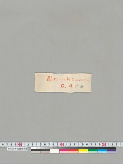 Bhāsvatīkaraṇa manuscript preview