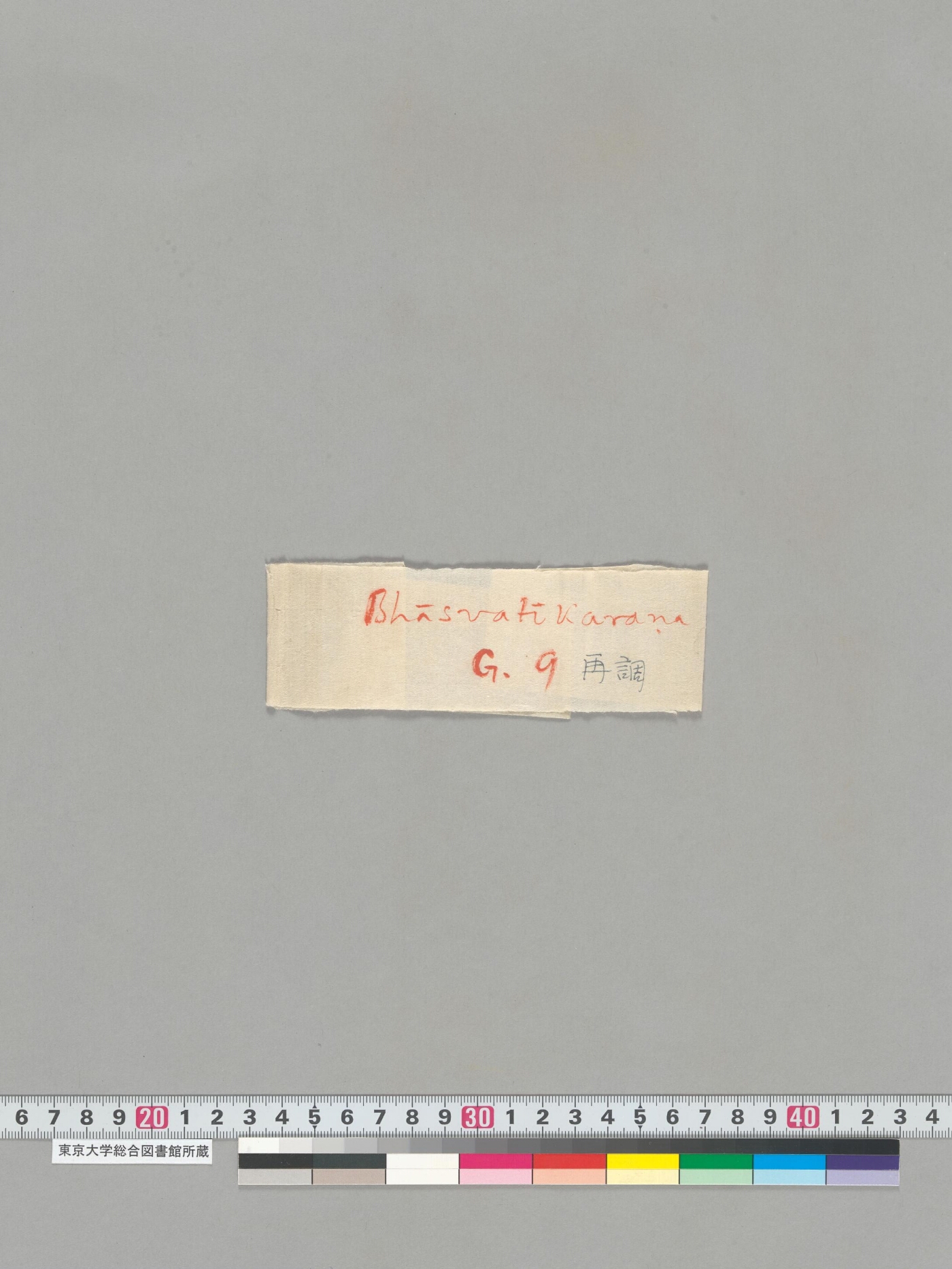 Bhāsvatīkaraṇa manuscript preview