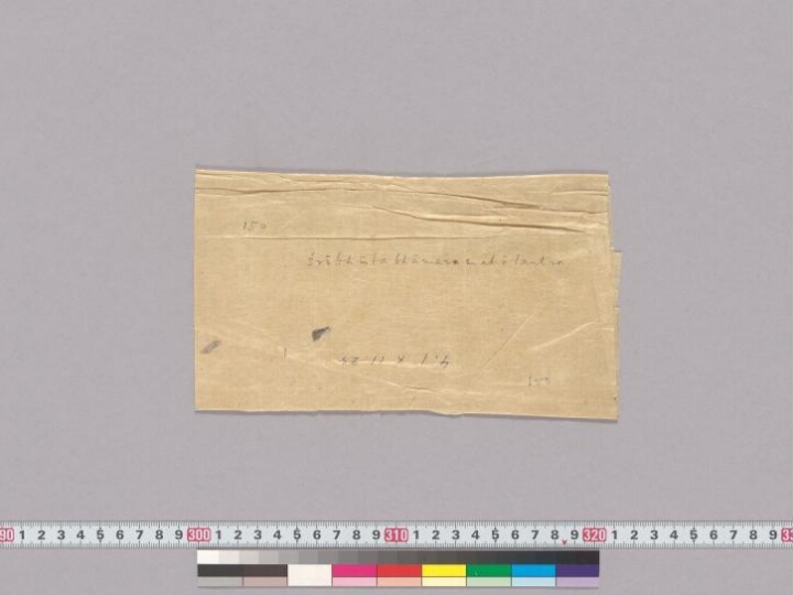 Bhūtaḍāmaratantra manuscript preview