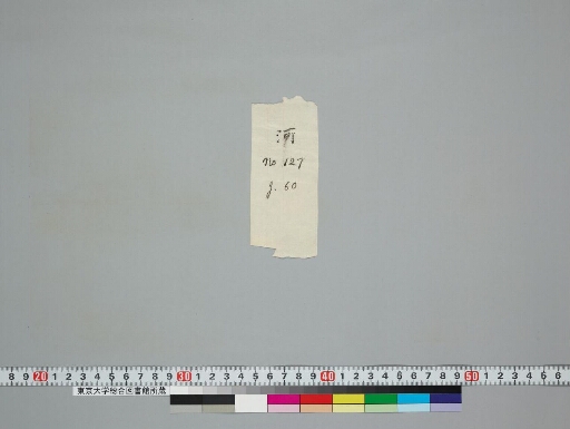 Maṇicūḍāvadāna manuscript preview