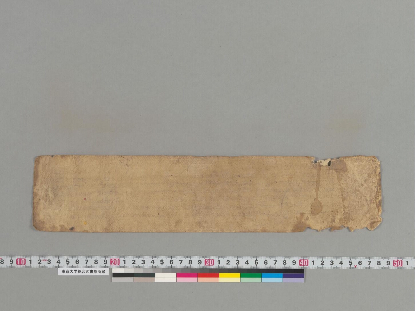 Maṇicūḍāvadāna manuscript preview