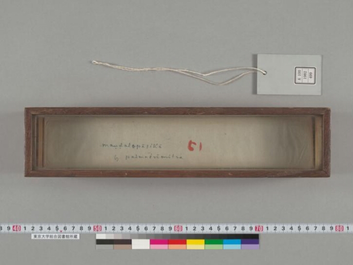 Maṇḍalopāyikā manuscript preview