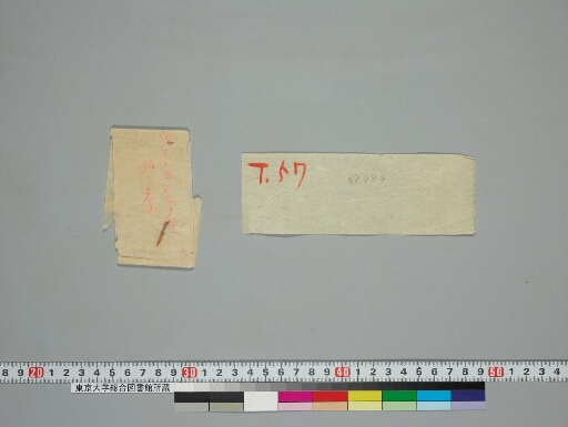 Marmakaṇikā manuscript preview