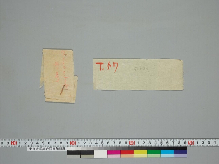 Marmakaṇikā manuscript preview