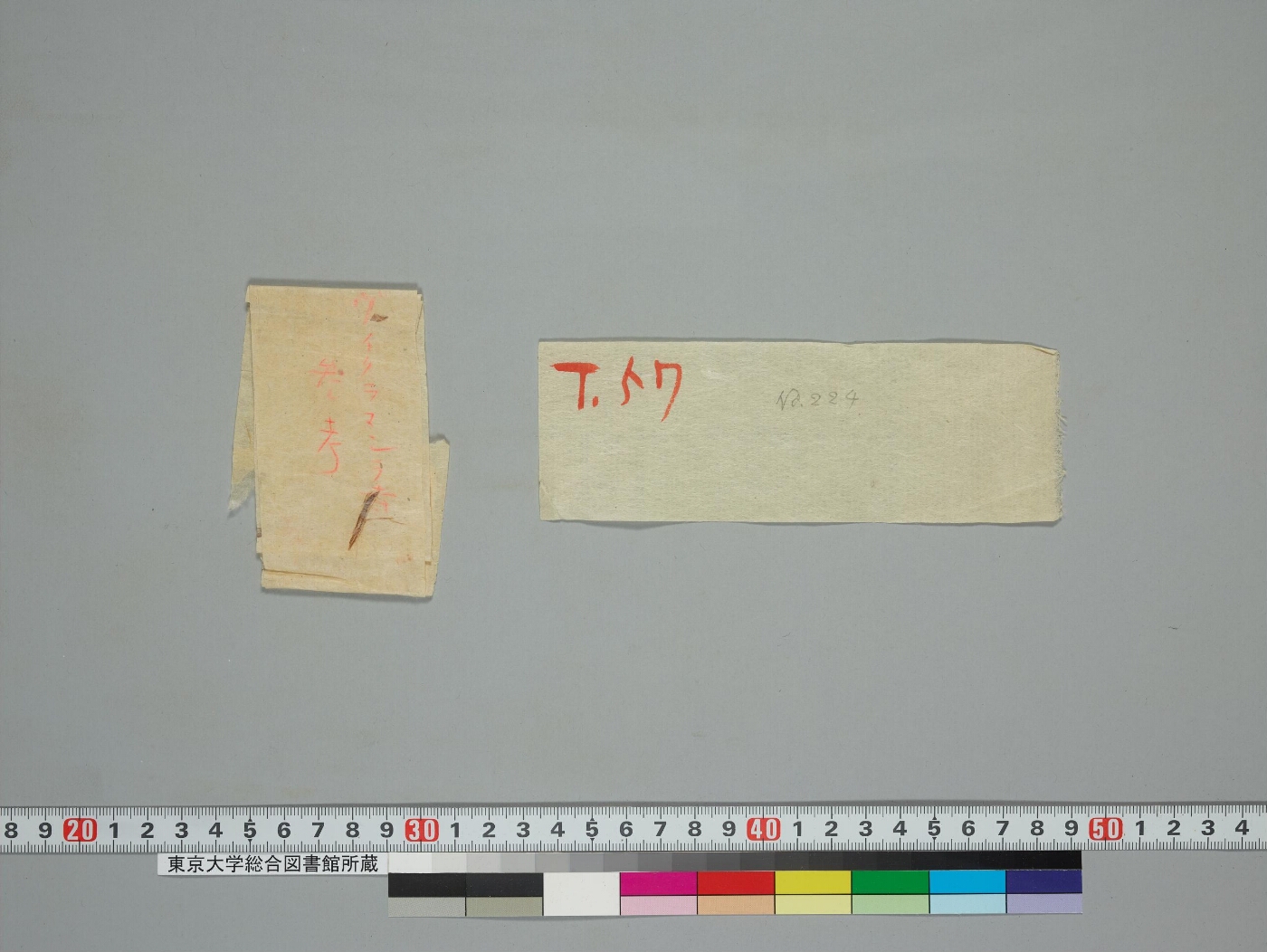 Marmakaṇikā manuscript preview