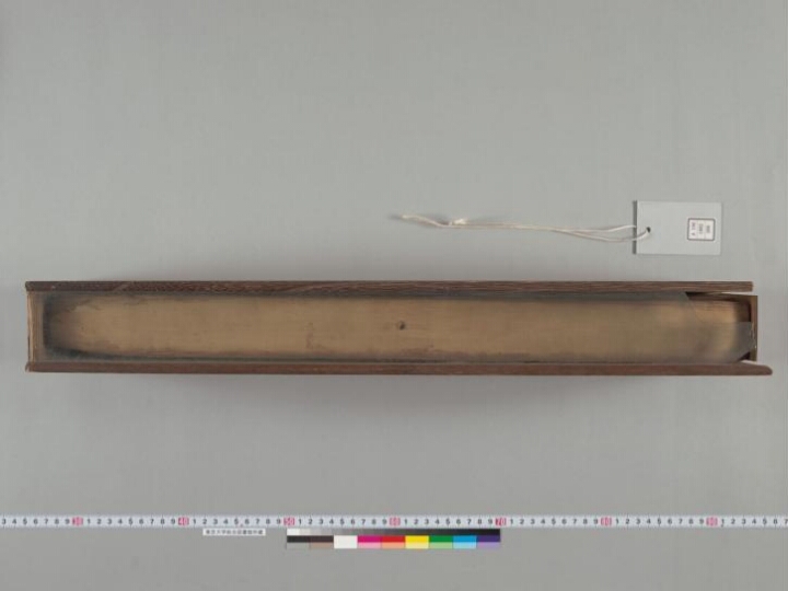 Mahābhārata manuscript preview