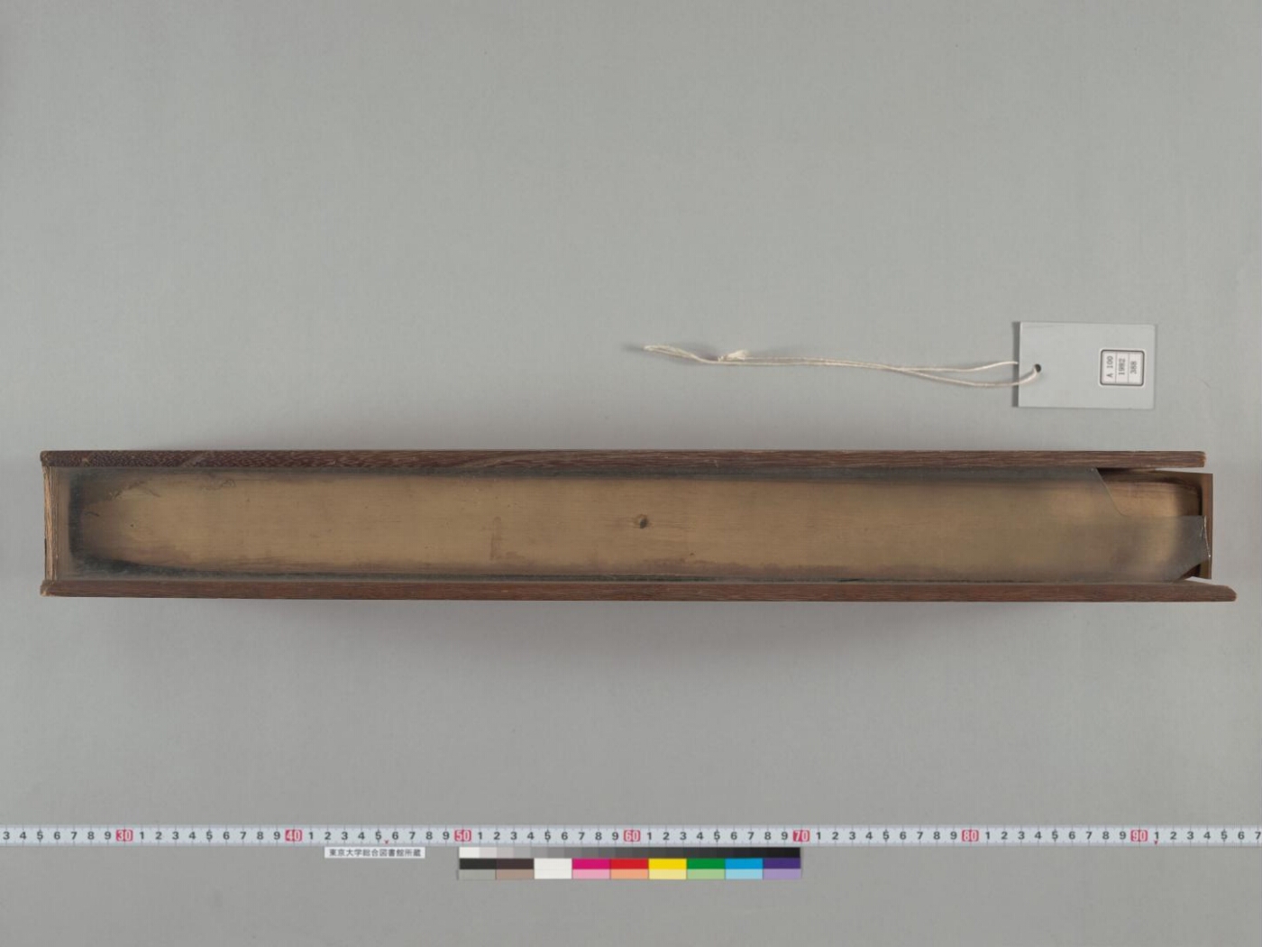 Mahābhārata manuscript preview