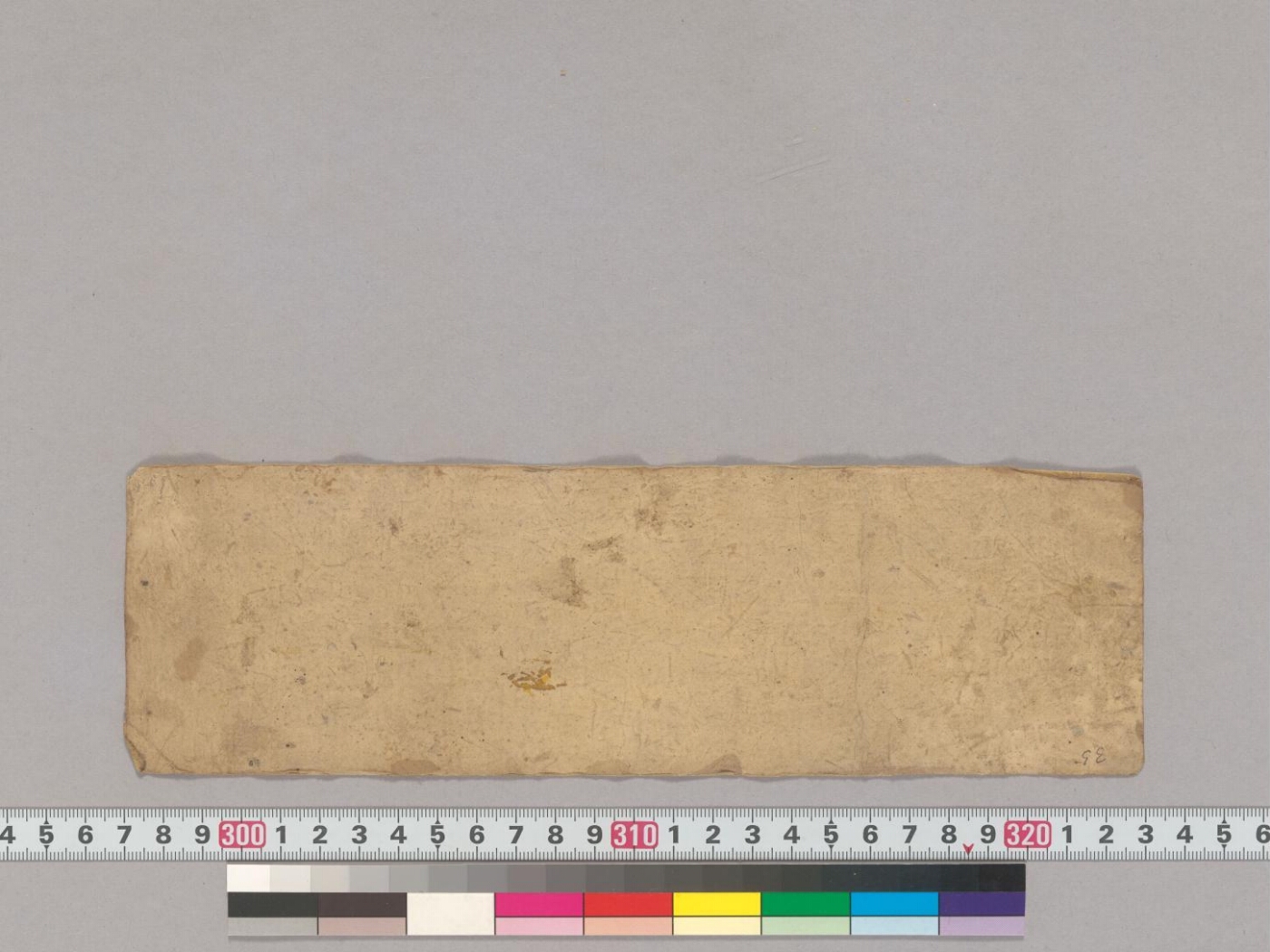 Mahābhīmasenadhāraṇī manuscript preview