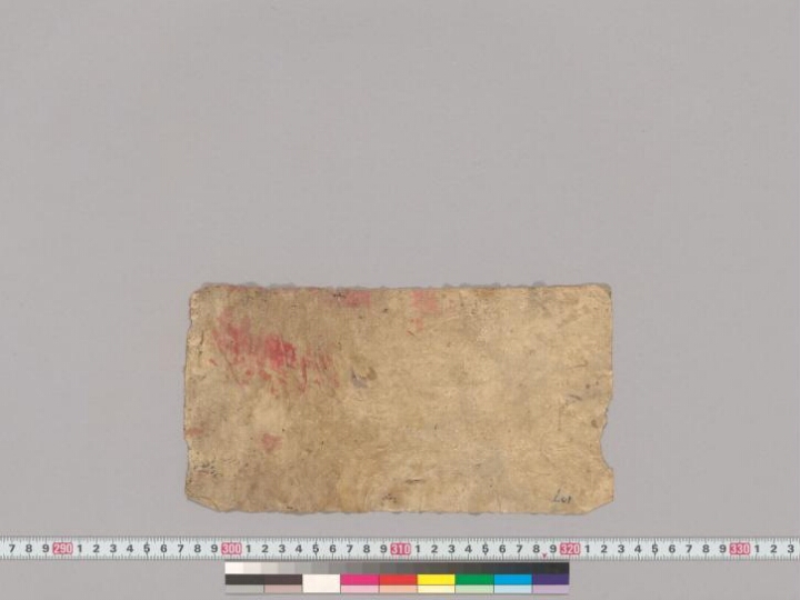 Mādhavanidāna manuscript preview