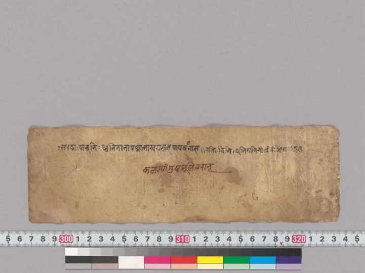 Mādhavanidānaparikarmacikitsā and other texts manuscript preview