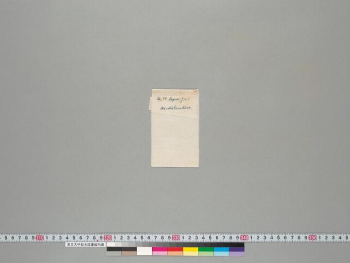 Māndhātāvadāna manuscript preview