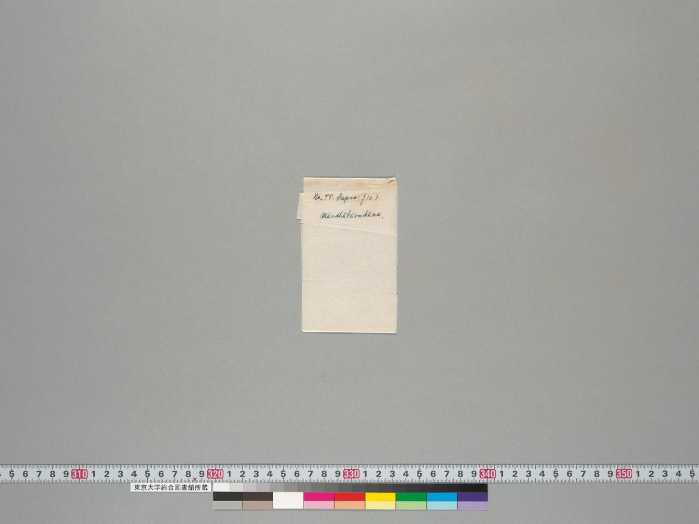 Māndhātāvadāna manuscript preview