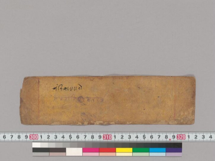 Mārkaṇḍeyapurāṇa manuscript preview