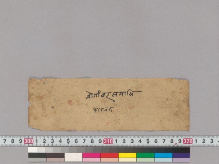 Yogāmbarāvidhi manuscript preview