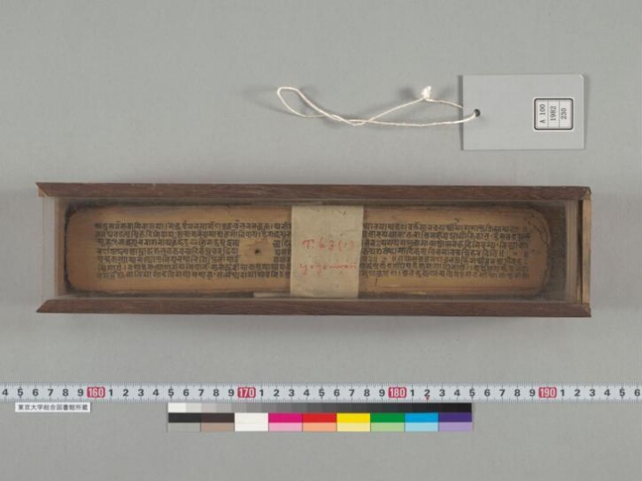 Yogāmbarīsādhanaratnamālā manuscript preview