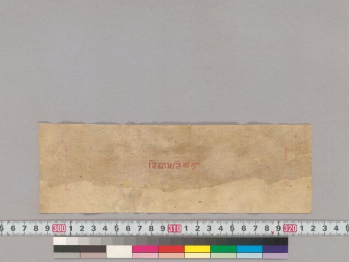 Yoginīvijayādhāraṇī manuscript preview