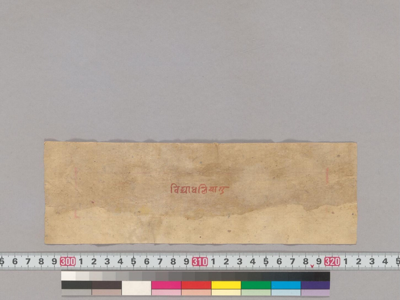 Yoginīvijayādhāraṇī manuscript preview
