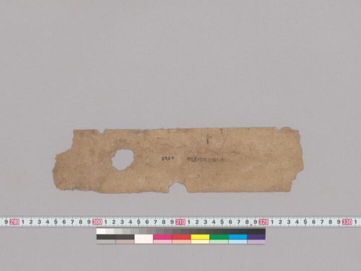 Raghuvaṃśa manuscript preview