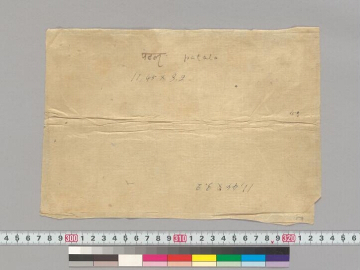 Rasasāra manuscript preview