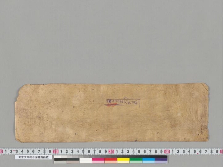Rāṣṭrapālaparipṛcchā manuscript preview