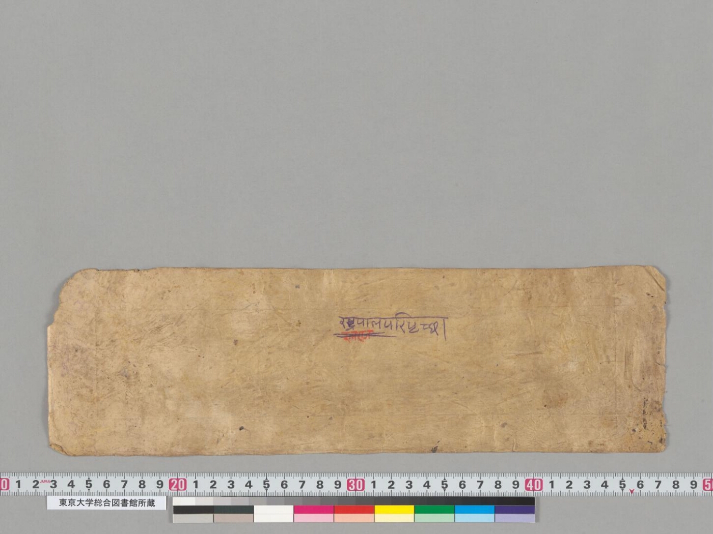 Rāṣṭrapālaparipṛcchā manuscript preview