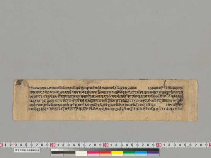 Lakṣacaityavrataśṛṅgabherīkathā manuscript preview