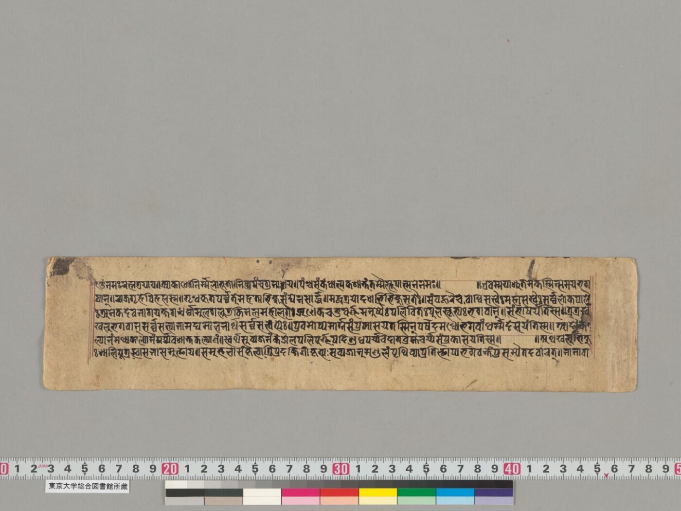 Lakṣacaityavrataśṛṅgabherīkathā manuscript preview
