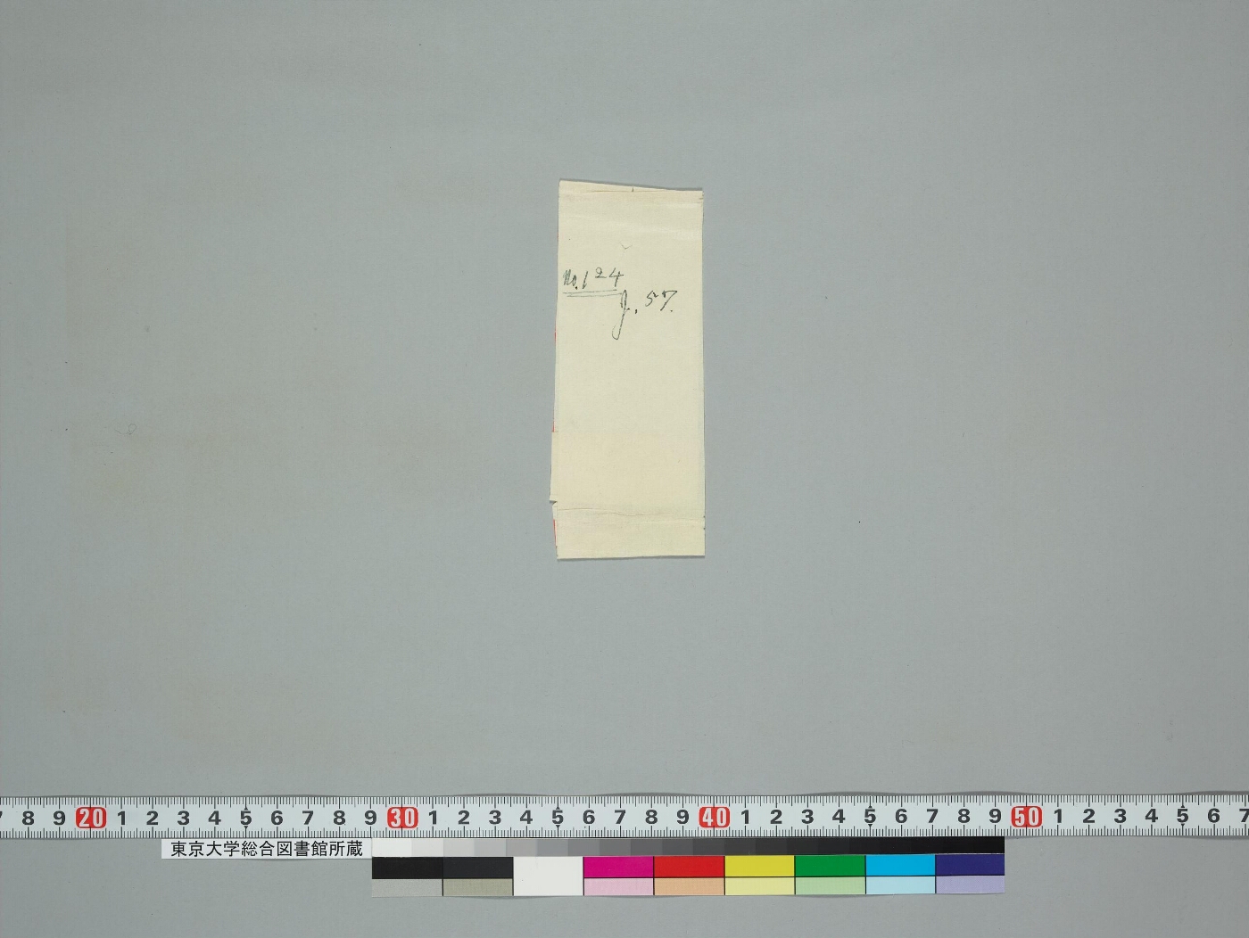 Lakṣacaityavrataśṛṅgabherīkathā manuscript preview