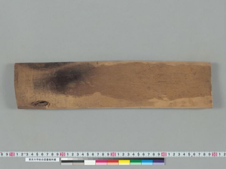 Laṅkāvatārasūtra manuscript preview